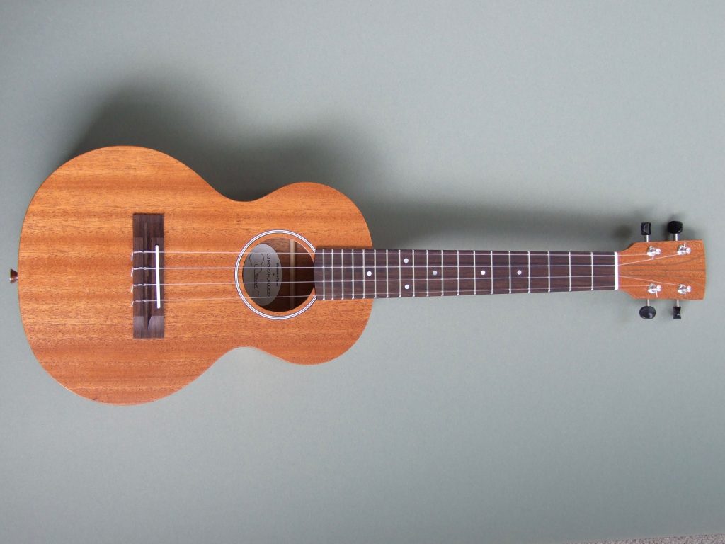 Tenor Ukulele in African Mahogany DJ Ukuleles